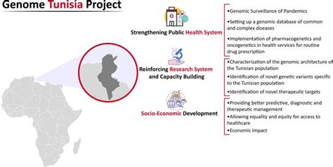 supporting foundation or framework figgerits|Genome Tunisia Project: paving the way for precision medicine in .